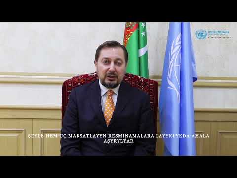 Послание Постоянного координатора ООН Дмитрия Шлапаченко по случаю 30-летия членства Туркменистана в ООН