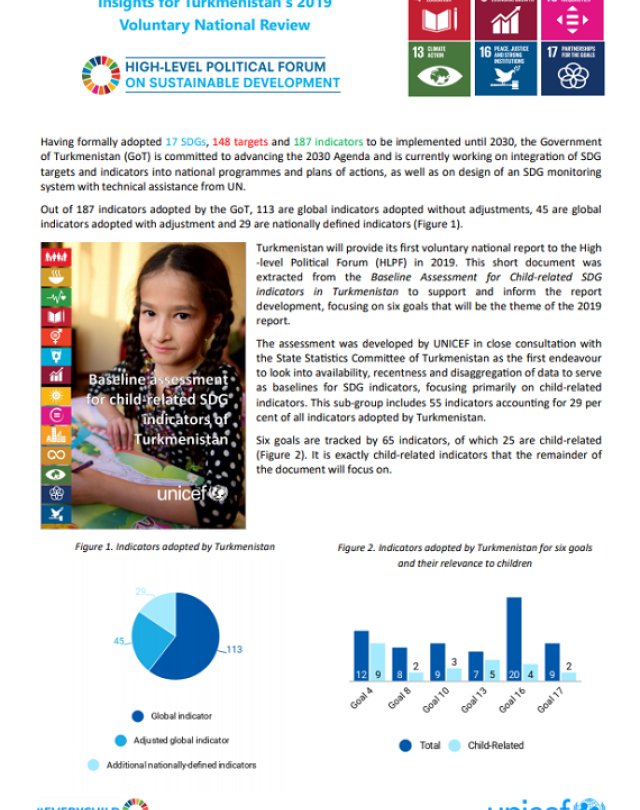 ENG Insights for Turkmenistan Thumbnail